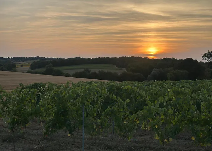 Familial Gers 12 Pers Fleurance